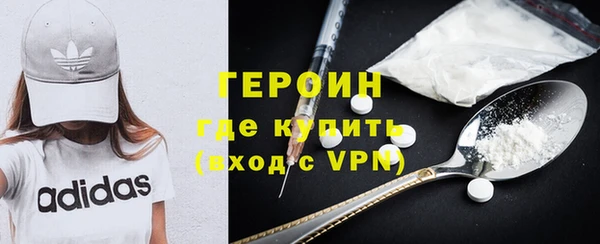 гашик Няндома