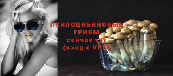 твердый Абинск