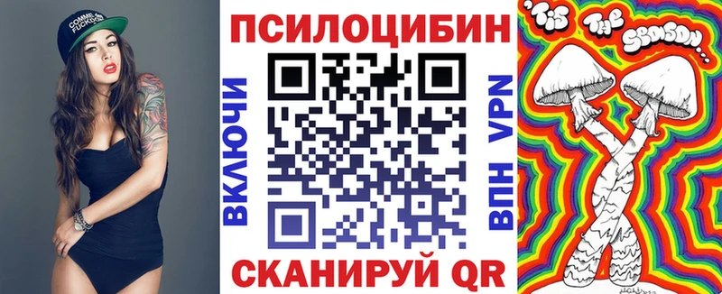 блэк спрут зеркало  купить наркоту  Шенкурск  Псилоцибиновые грибы Psilocybe 
