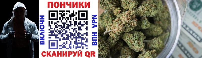 Канабис гибрид  Шенкурск 